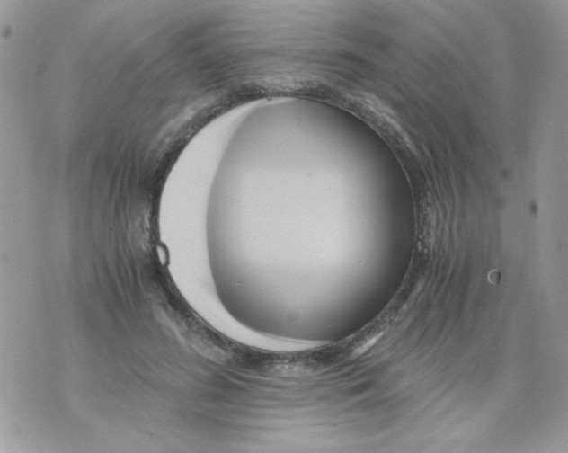 X0000071380596200607212214