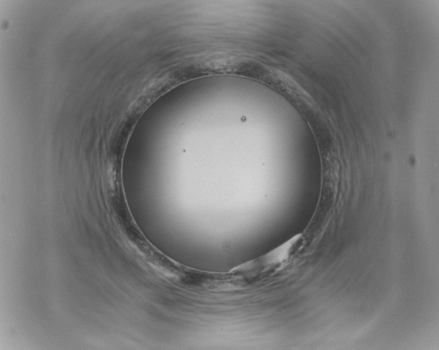 X0000071380597200607212214