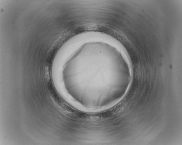 X0000071380598200607212214