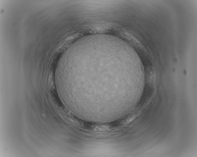 X0000071380599200607212214