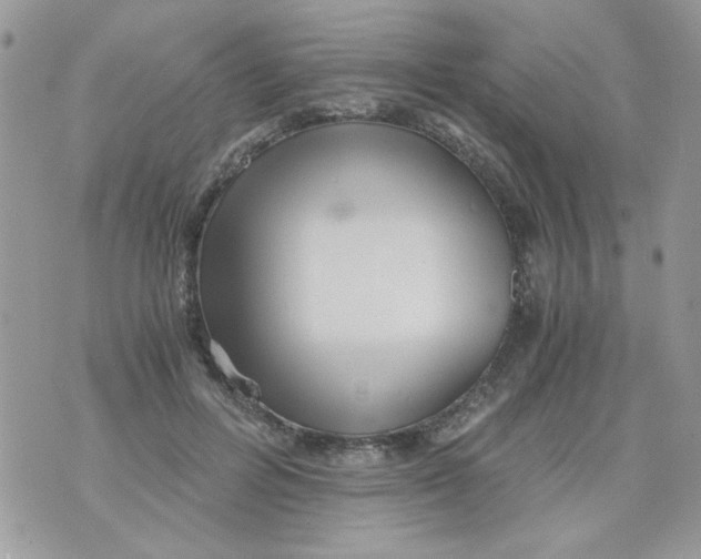 X0000071380600200607212214