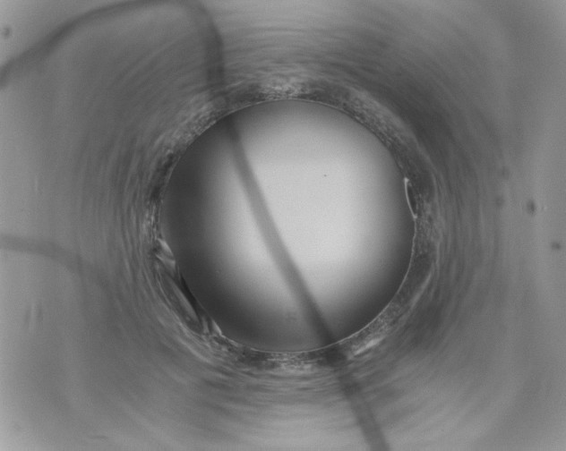 X0000071380601200607212214