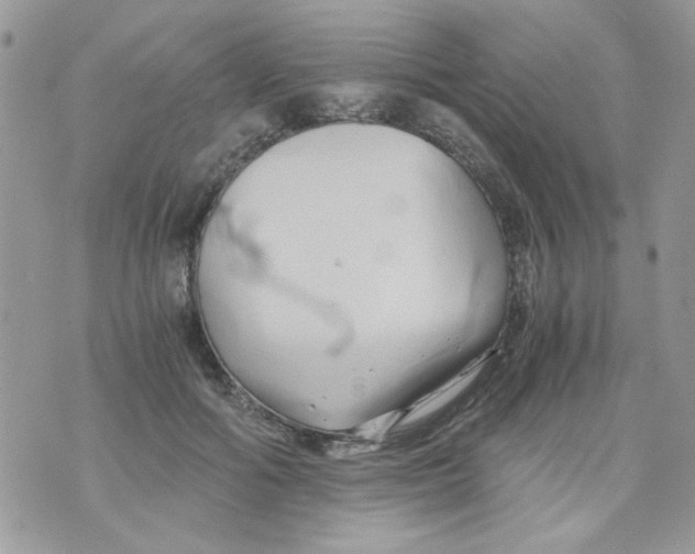 X0000071380602200607212214