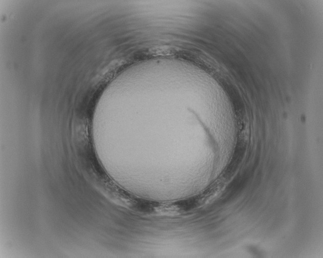 X0000071380603200607212214