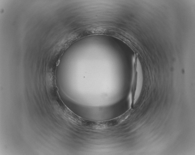 X0000071380604200607212214