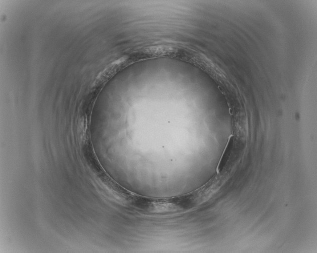 X0000071380605200607212214