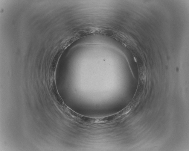 X0000071380607200607212214