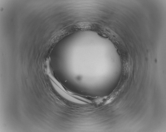 X0000071380609200607212214