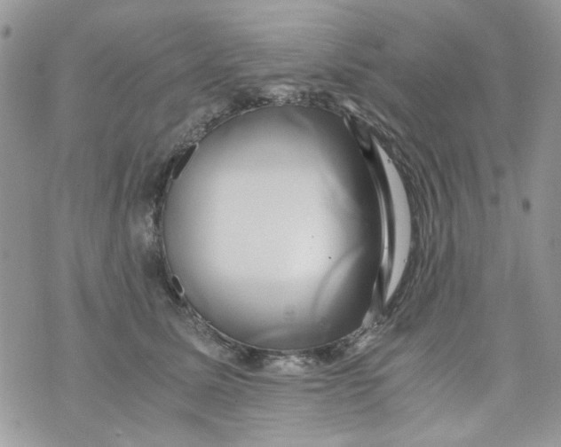 X0000071380611200607212214