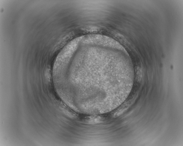 X0000071380612200607212214