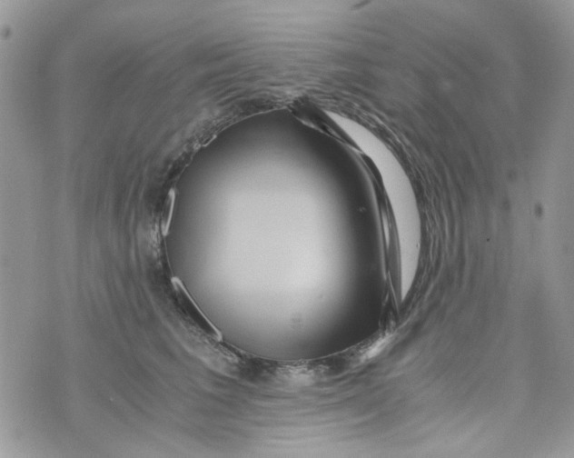 X0000071380613200607212214