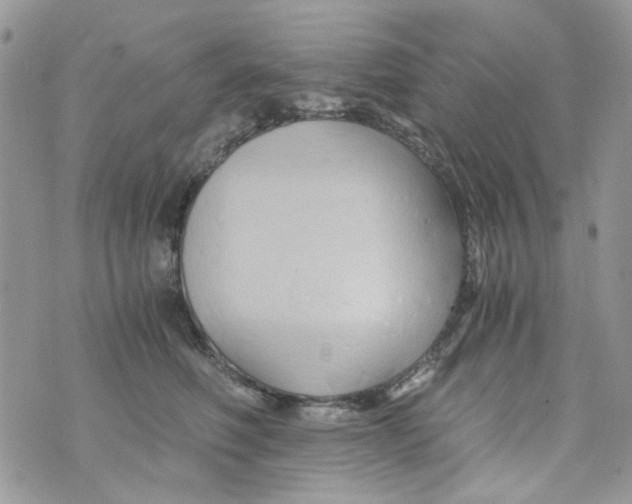 X0000071380614200607212214