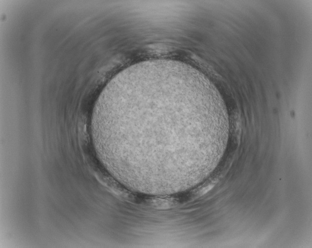 X0000071380615200607212214