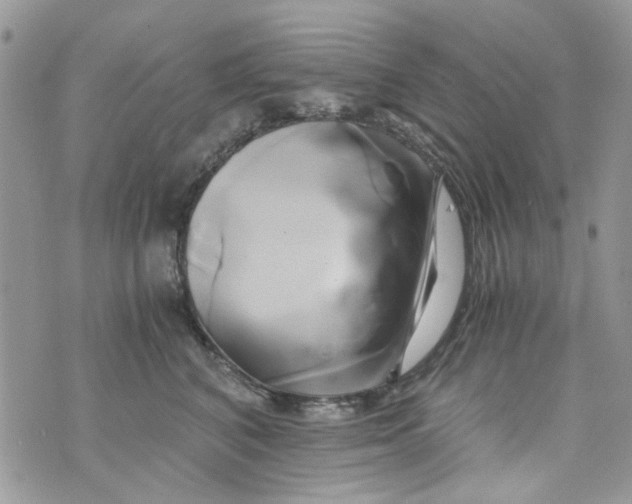 X0000071380616200607212214