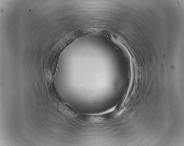 X0000071380617200607212214