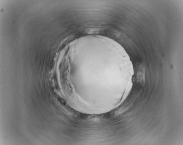 X0000071380620200607212214