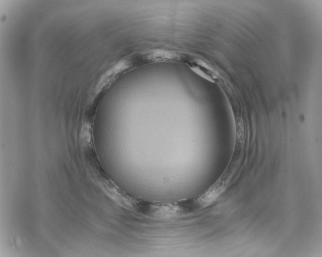 X0000071380621200607212214