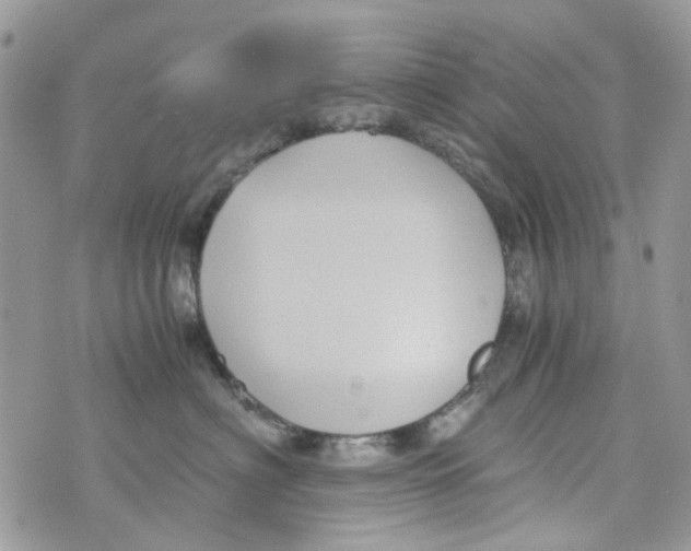 X0000071380622200607212214