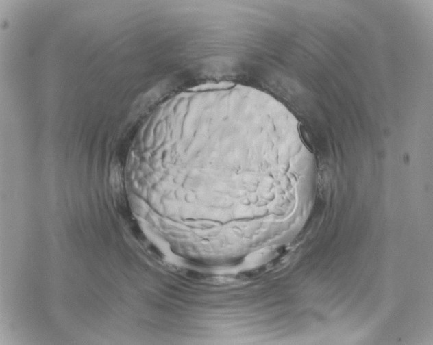 X0000071380623200607212214