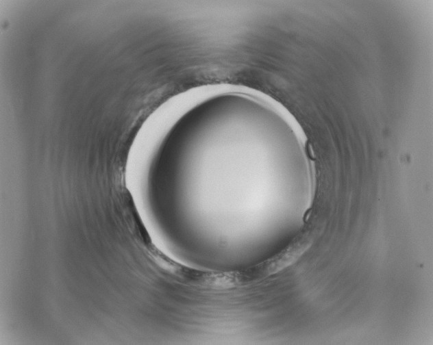 X0000071380624200607212214