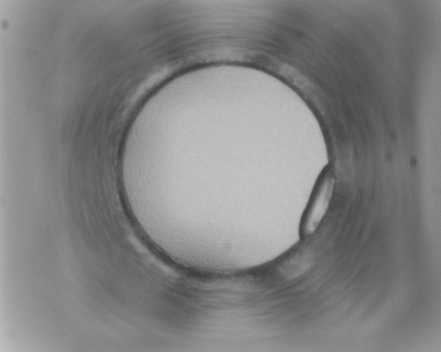 X0000071380625200607212213