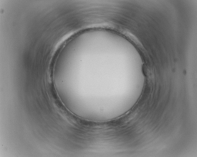 X0000071380628200607212213