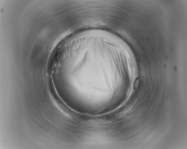 X0000071380630200607212213