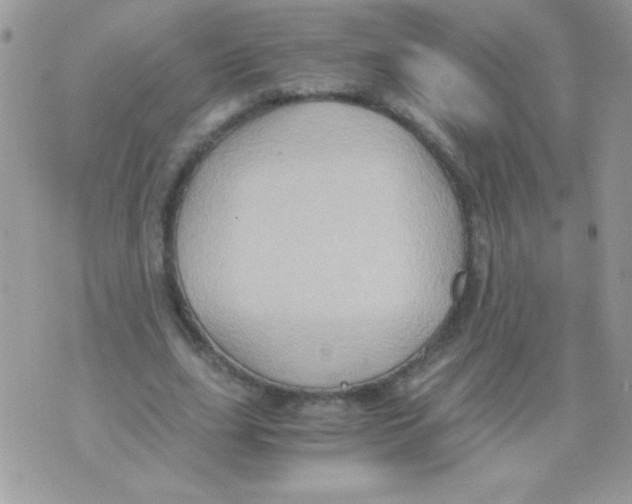 X0000071380631200607212213