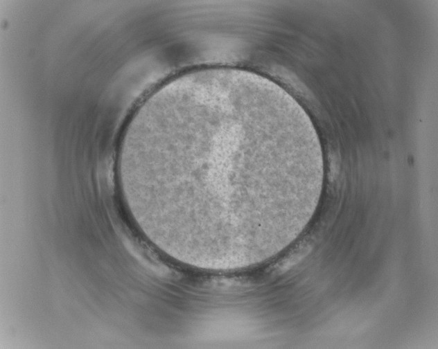 X0000071380632200607212213