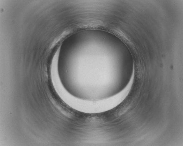 X0000071380634200607212213