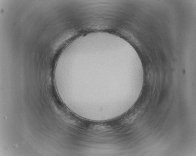 X0000071380635200607212213