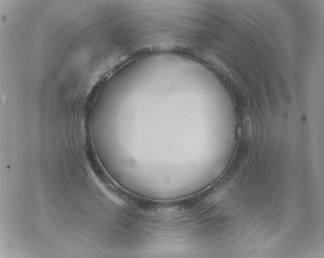 X0000071380638200607212213