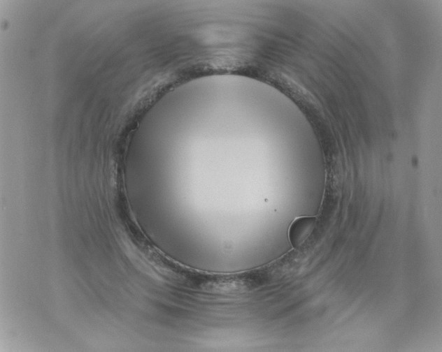 X0000071380639200607212213