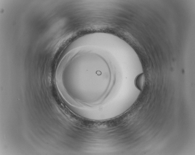 X0000071380640200607212213