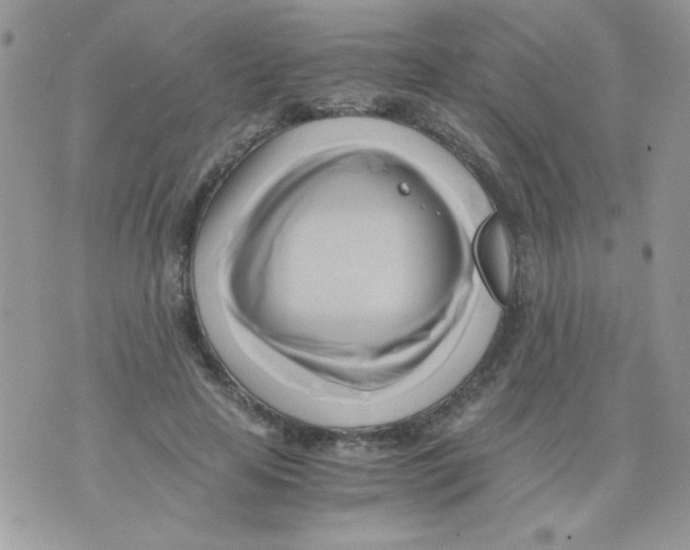 X0000071380641200607212213