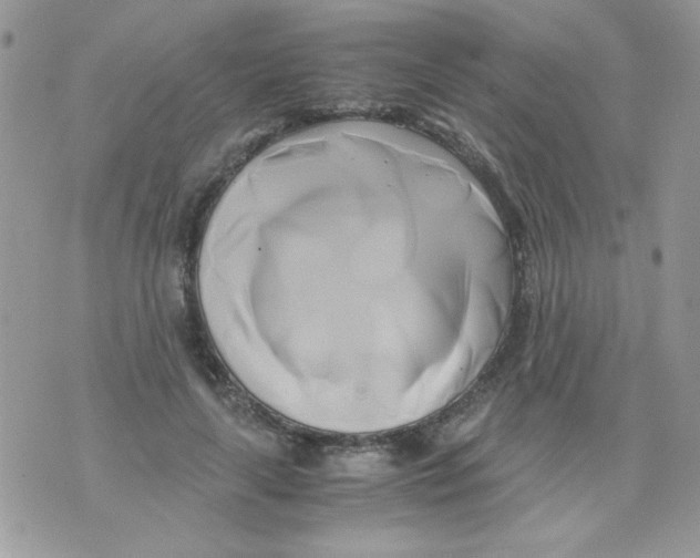 X0000071380643200607212213