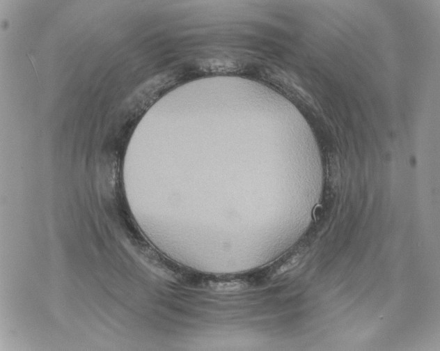 X0000071380645200607212213