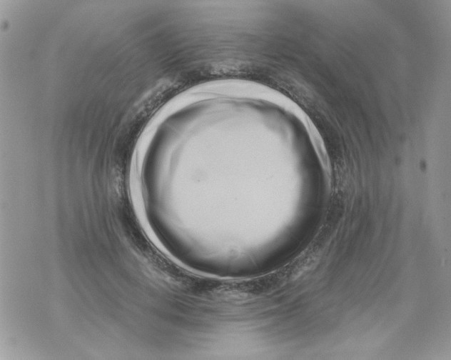 X0000071380648200607212213