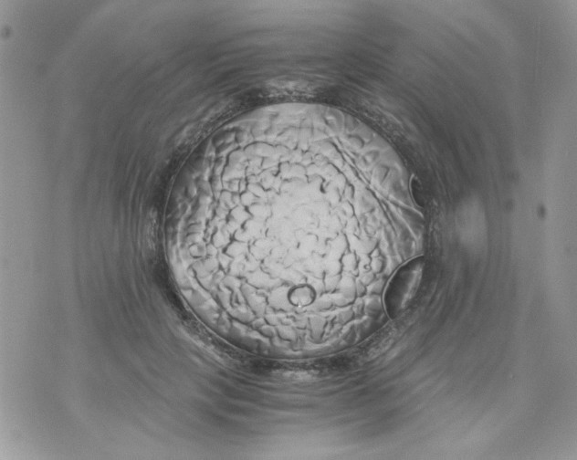 X0000071380649200607212213