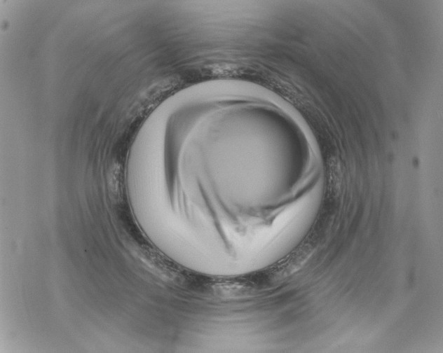 X0000071380650200607212213