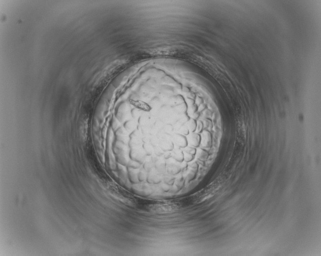 X0000071380652200607212213