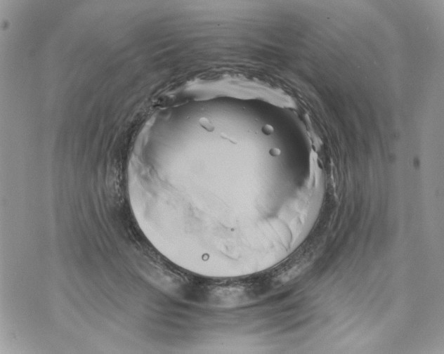 X0000071380653200607212214