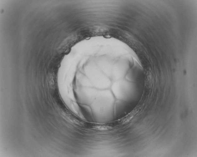 X0000071380654200607212214