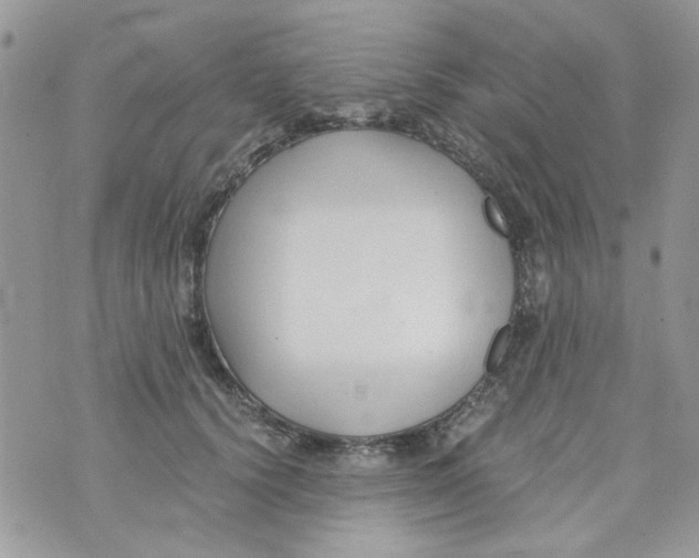 X0000071380656200607212214