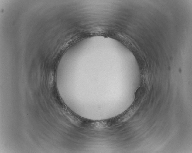 X0000071380660200607212214