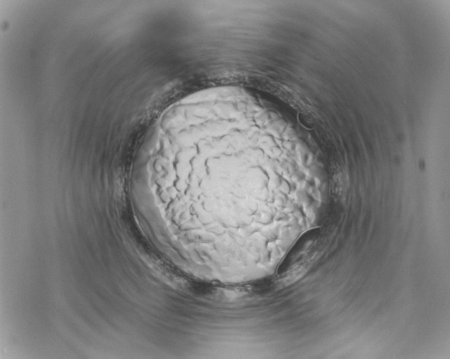 X0000071380662200607212214