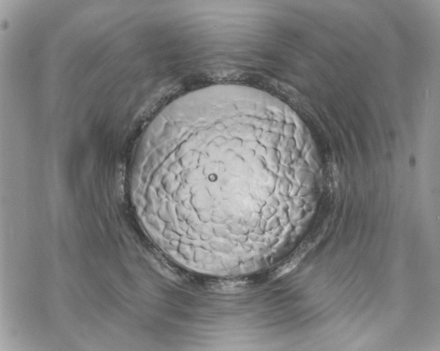 X0000071380664200607212214