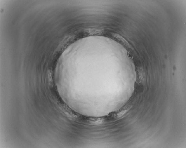 X0000071380667200607212214