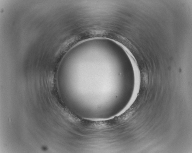 X0000071380668200607212214