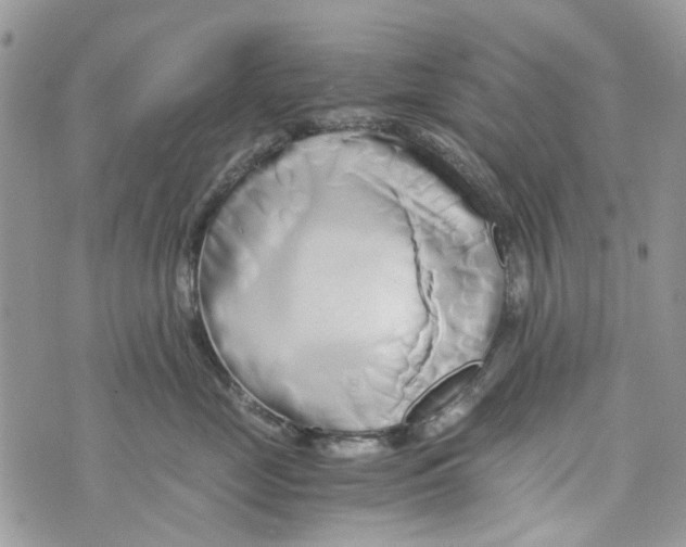 X0000071380669200607212214